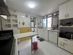The Tanamera (D16), Condominium #501940531